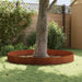 Gazonrand 10 st 100 x 22 cm Staal Roestig