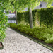 Gazonrand 20 st 100 x 10 x 8 cm Staal Olijfgroen