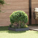 Gazonrand 60 x 60 x 20 cm Staal Antracietkleurig