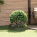 Gazonrand 60 x 60 x 20 cm Staal Olijfgroen