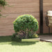 Gazonrand 60 x 60 x 20 cm Staal Zilverkleurig