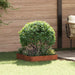 Gazonrand 60 x 60 x 20 cm Staal Roestig