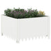 Gazonrand 4 st 60 x 60 x 35 cm Staal Wit