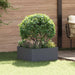Gazonrand 60 x 60 x 35 cm Staal Antracietkleurig