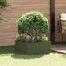Gazonrand 60 x 60 x 35 cm Staal Olijfgroen