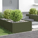 Gazonrand 4 st 60 x 60 x 35 cm Staal Olijfgroen