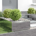 Gazonrand 4 st 60 x 60 x 35 cm Staal Zilverkleurig