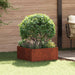 Gazonrand 60 x 60 x 35 cm Staal Roestig