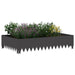Gazonrand 4 st 100 x 60 x 20 cm Staal Zwart