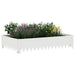 Gazonrand 4 st 100 x 60 x 20 cm Staal Wit