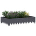 Gazonrand 100 x 60 x 20 cm Staal Antracietkleurig