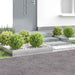 Gazonrand 4 st 100 x 60 x 20 cm Staal Zilverkleurig