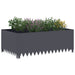 Gazonrand 100 x 60 x 35 cm Staal Antracietkleurig
