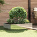 Gazonrand 100 x 60 x 35 cm Staal Zilverkleurig