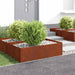 Gazonrand 100 x 60 x 35 cm Staal Roestig