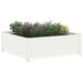 Gazonrand 100 x 100 x 35 cm Staal Wit