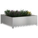 Gazonrand 100 x 100 x 35 cm Staal Zilverkleurig