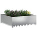 Gazonrand 100 x 100 x 35 cm Staal Zilverkleurig