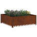 Gazonrand 100 x 100 x 35 cm Staal Roestig