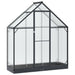 Tuin Serre met de deur Antracietkleurig 183,5 x 63,5 x 207 cm
