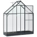 Tuin Serre met de deur Antracietkleurig 183,5 x 63,5 x 207 cm