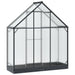 Tuin Serre met de deur Antracietkleurig 183,5 x 63,5 x 207 cm