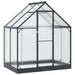 Tuin Serre met de deur Antracietkleurig 183,5 x 123 x 207 cm