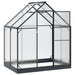Tuin Serre met de deur Antracietkleurig 183,5 x 123 x 207 cm