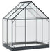 Tuin Serre met de deur Antracietkleurig 183,5 x 123 x 207 cm