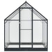 Tuin Serre met de deur Antracietkleurig 183,5 x 123 x 207 cm