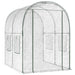 Kweekhuis met Frame 160 x 200 x 192,5 cm PVC Doorzichtig