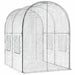 Kweekhuis met Frame 160 x 200 x 192,5 cm PVC Doorzichtig