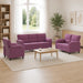 Bankstel 3 pcs Paars fluweel