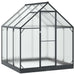 Tuin Serre met de deur Antracietkleurig 183,5 x 183,5 x 207 cm