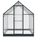 Tuin Serre met de deur Antracietkleurig 183,5 x 183,5 x 207 cm