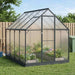Tuin Serre met de deur Antracietkleurig 183,5 x 243,5 x 207 cm