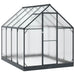 Tuin Serre met de deur Antracietkleurig 183,5 x 243,5 x 207 cm