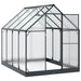 Tuin Serre met de deur Antracietkleurig 183,5 x 243,5 x 207 cm