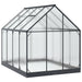 Tuin Serre met de deur Antracietkleurig 183,5 x 243,5 x 207 cm