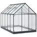 Tuin Serre met de deur Antracietkleurig 183,5 x 303,5 x 207 cm