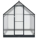 Tuin Serre met de deur Antracietkleurig 183,5 x 303,5 x 207 cm