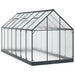Tuin Serre met de deur Antracietkleurig 183,5 x 423,5 x 207 cm