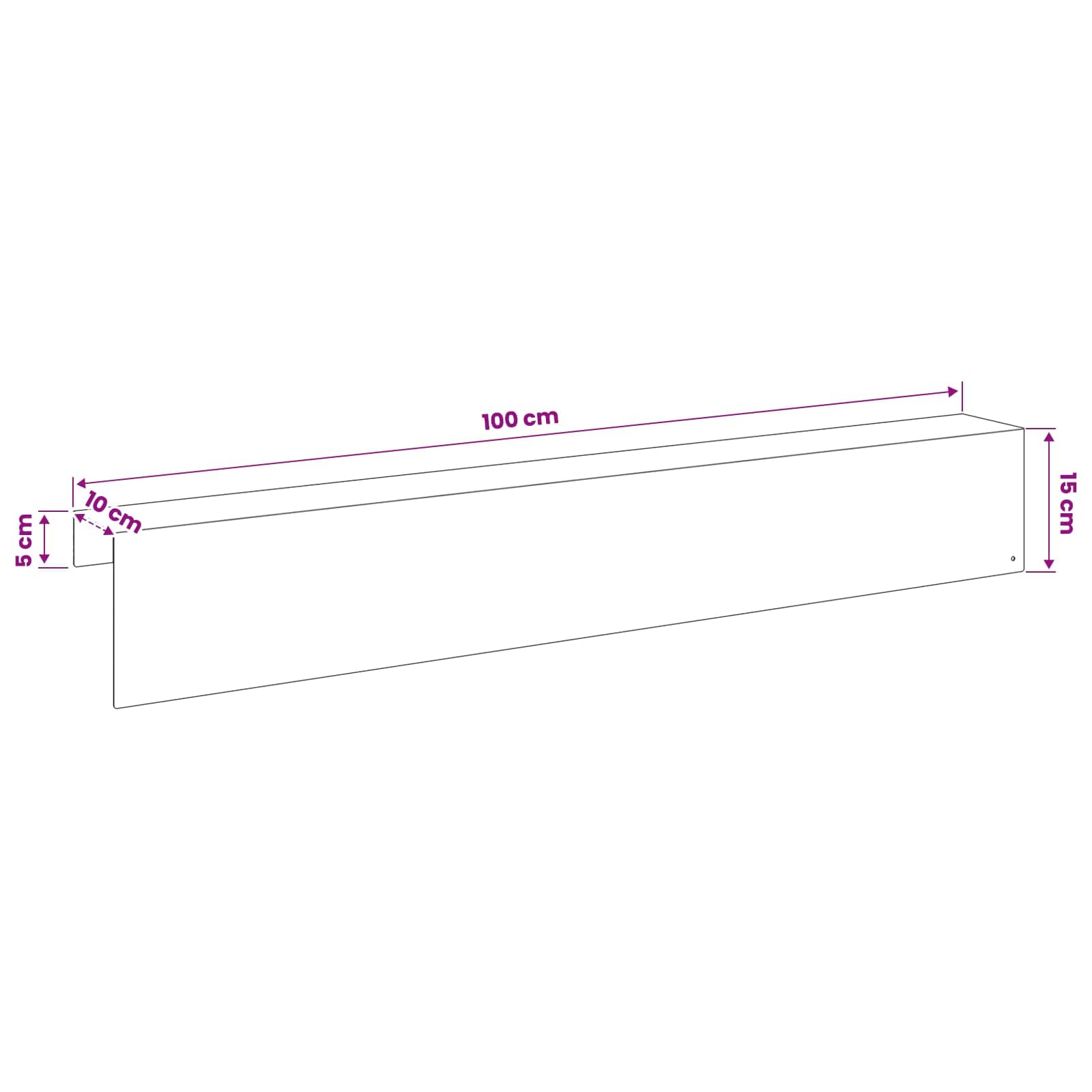 Afdekprofiel voor tuinafboording 2 st 100 x 10 x 15 cm