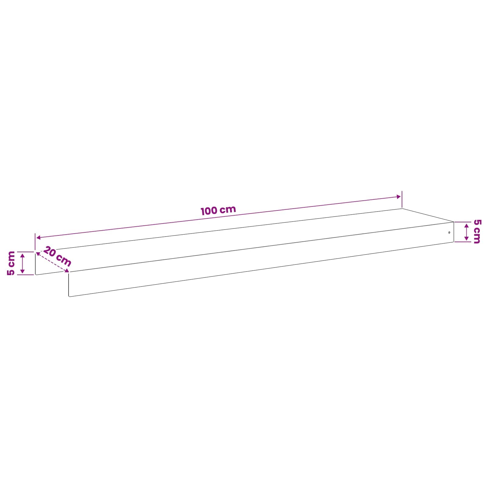 Afdekprofiel voor tuinafboording 10 st 100 x 20 x 5 cm