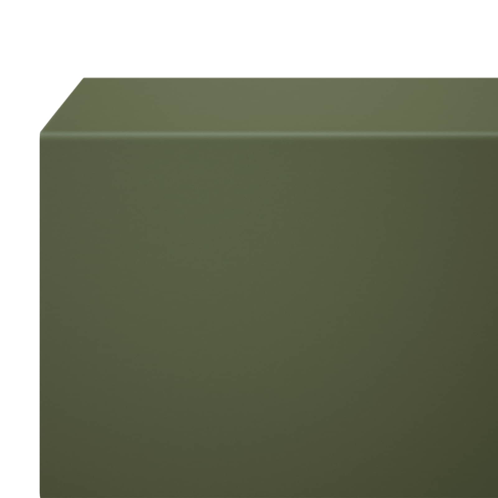Afdekprofiel voor tuinafboording 20 st 100 x 10 x 5 cm Staal