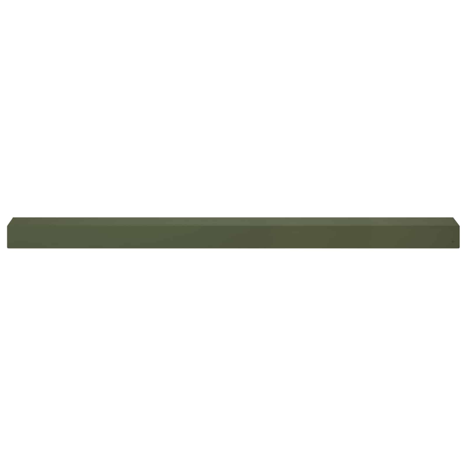 Afdekprofiel voor tuinafboording 20 st 100 x 10 x 5 cm Staal