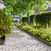 Gazonrand 30 st 15 x 103 cm Staal Olijfgroen