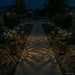Buitenzonne-lampen met grondpin 4 st Warmwit 29 cm PP