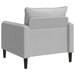 XL fauteuil Lichtgrijs fluweel
