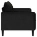 XL fauteuil Zwart fluweel